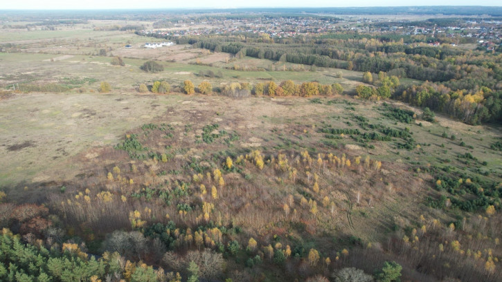 Działka Sprzedaż Buk 1