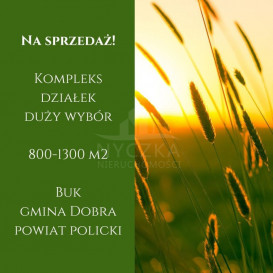 Działka Sprzedaż Buk