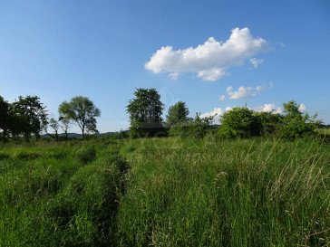 Działka Sprzedaż Binowo