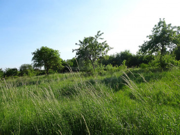 Działka Sprzedaż Binowo