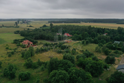 Działka Sprzedaż Charzyno