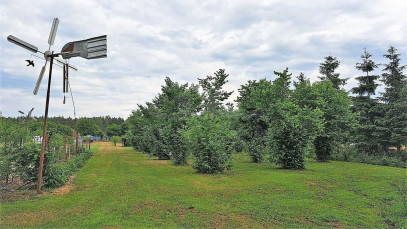 Działka Sprzedaż Podlesie