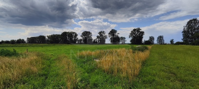 Działka Sprzedaż Rurzyca