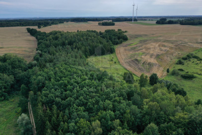 Działka Sprzedaż Prusinowo