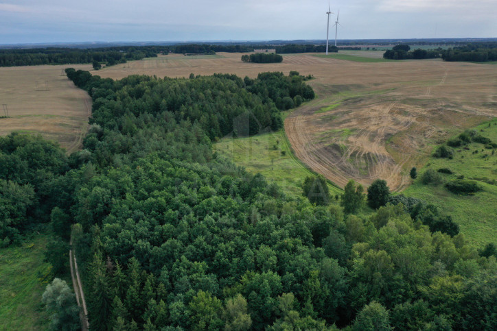 Działka Sprzedaż Prusinowo 1