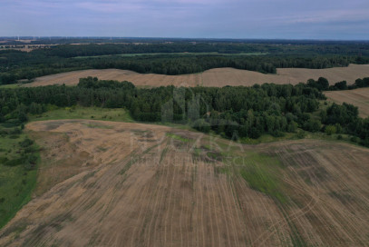 Działka Sprzedaż Prusinowo