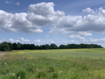 Działka Sprzedaż Stobno