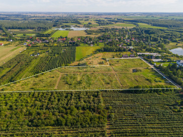 Działka Sprzedaż Binowo