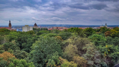 Mieszkanie Sprzedaż Szczecin Centrum Jana Matejki