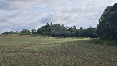 Działka Sprzedaż Niekładź