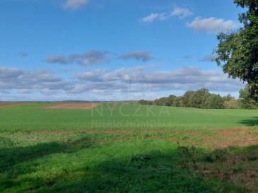 Działka Sprzedaż Żelisławiec