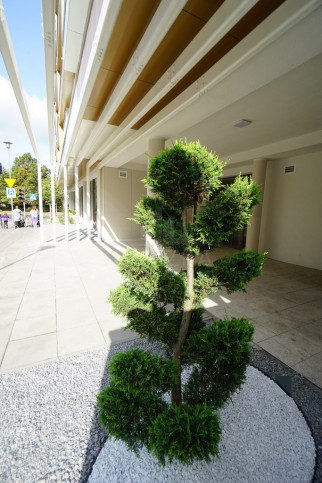 Mieszkanie Sprzedaż Szczecin Centrum Jacka Malczewskiego 10