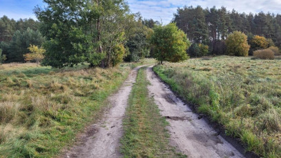 Działka Sprzedaż Warnowo