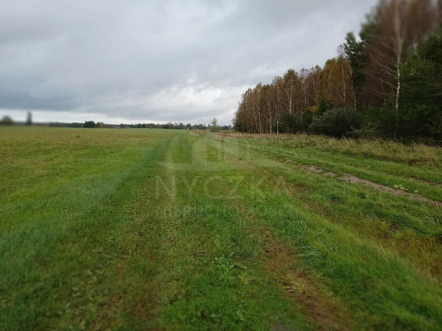 Działka Sprzedaż Stary Kraków 3