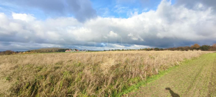 Działka Sprzedaż Goleniów 7