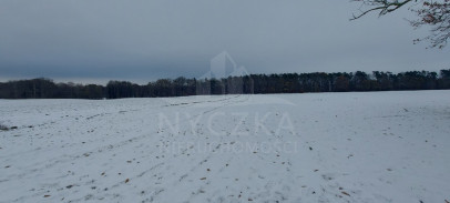 Działka Sprzedaż Budzieszowce