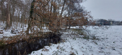 Działka Sprzedaż Budzieszowce