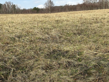 Działka Sprzedaż Storkowo