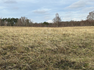 Działka Sprzedaż Storkowo