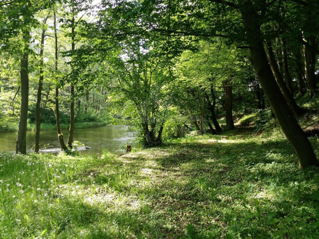 Działka Sprzedaż Barnimie 2