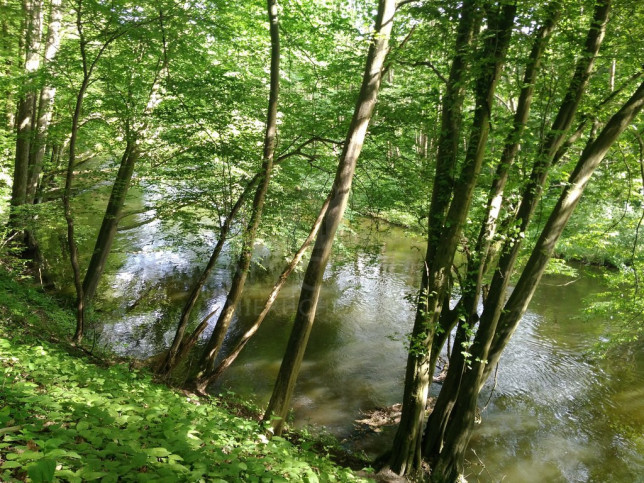 Działka Sprzedaż Barnimie 5