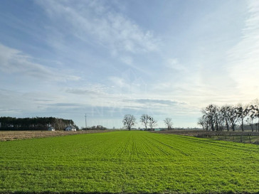 Działka Sprzedaż Borzysławiec