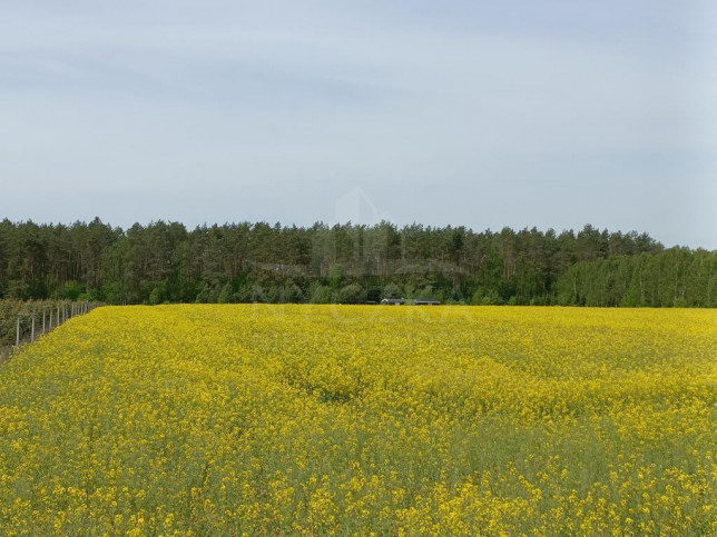 Działka Sprzedaż Stawno 6