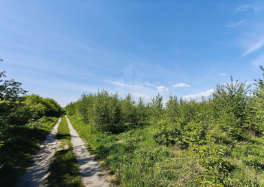 Działka Sprzedaż Goleniów