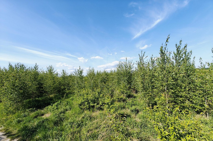 Działka Sprzedaż Goleniów 9