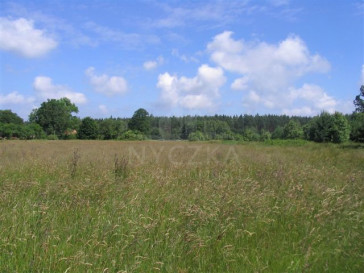 Działka Sprzedaż Kodrąbek