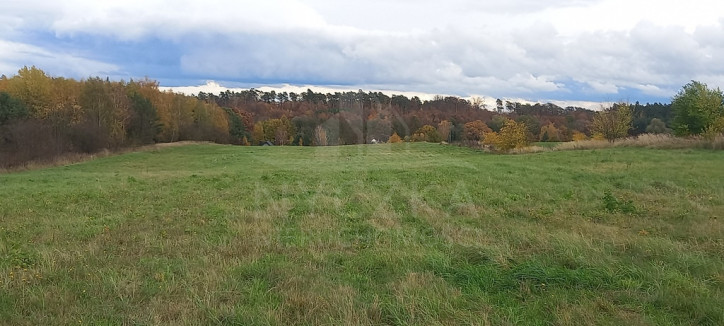 Działka Sprzedaż Steklno 2