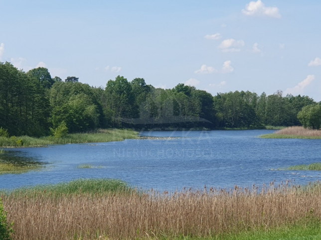 Działka Sprzedaż Zieleniewo 3