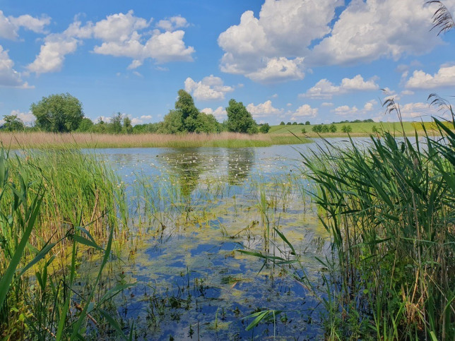 Działka Sprzedaż Zieleniewo 3