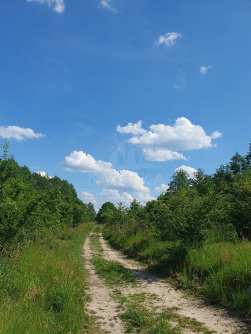 Działka Sprzedaż Zieleniewo 4