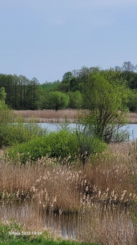 Działka Sprzedaż Zieleniewo 7