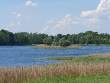 Działka Sprzedaż Zieleniewo