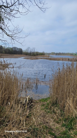 Działka Sprzedaż Zieleniewo 6