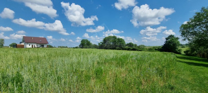 Działka Sprzedaż Barnisław