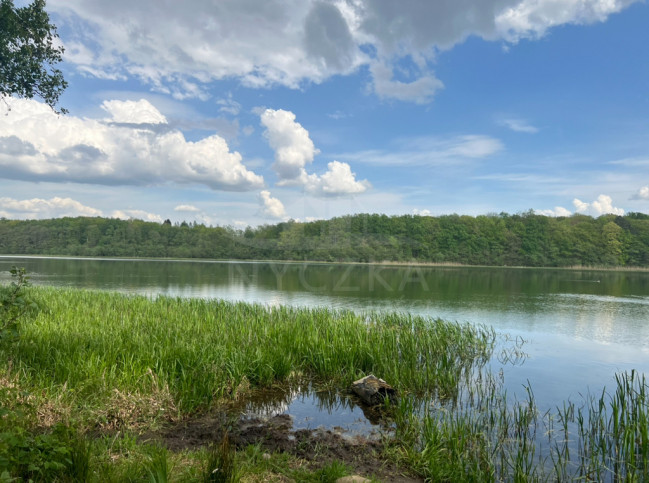 Działka Sprzedaż Stara Dobrzyca 2