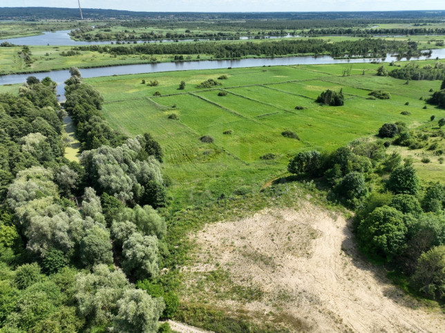 Działka Sprzedaż Kurów 4