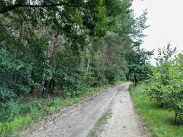 Działka Sprzedaż Szczecin Płonia