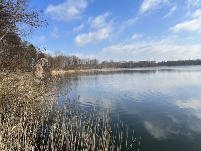 Działka Sprzedaż Choszczno 1