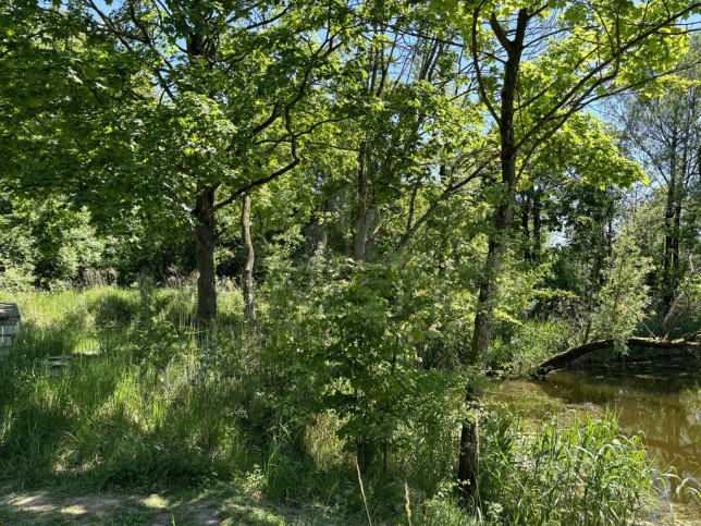 Działka Sprzedaż Szczecin Warszewo Kredowa 3