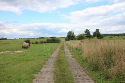 Działka Sprzedaż Biała