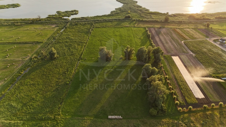 Działka Sprzedaż Lubczyna 2